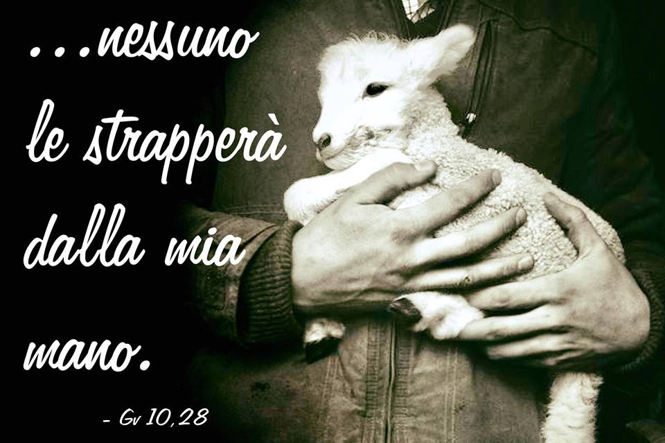 buon pastore 4