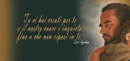ci hai creati