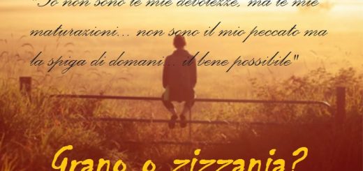 grano zizzania