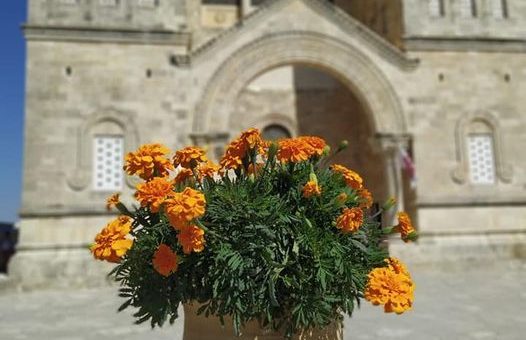 154925013 10224926240573648 1108780351647511980 n