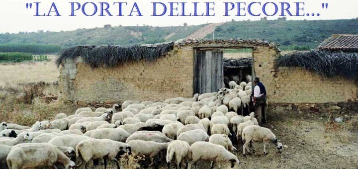 quarta domenica pasqua 2021