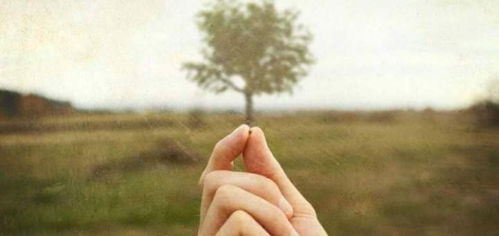 undicesima tempo ordinario