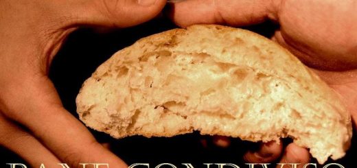 17 ma tempo ordinario