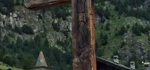 22 ma tempo oridnario 2021