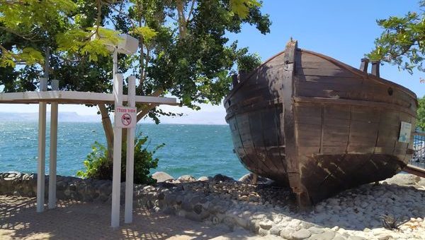 quinta domenica tempo ordinario anno liturgico 2021