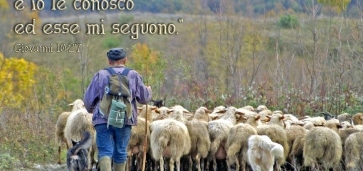 quarta domenica di pasqua anno liturgico